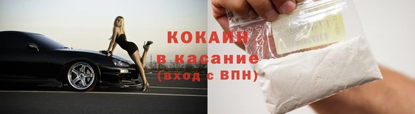 индика Ростов