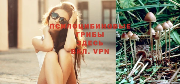 дурь Россошь