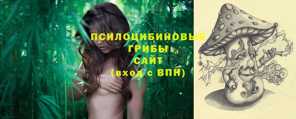 ешки Рославль